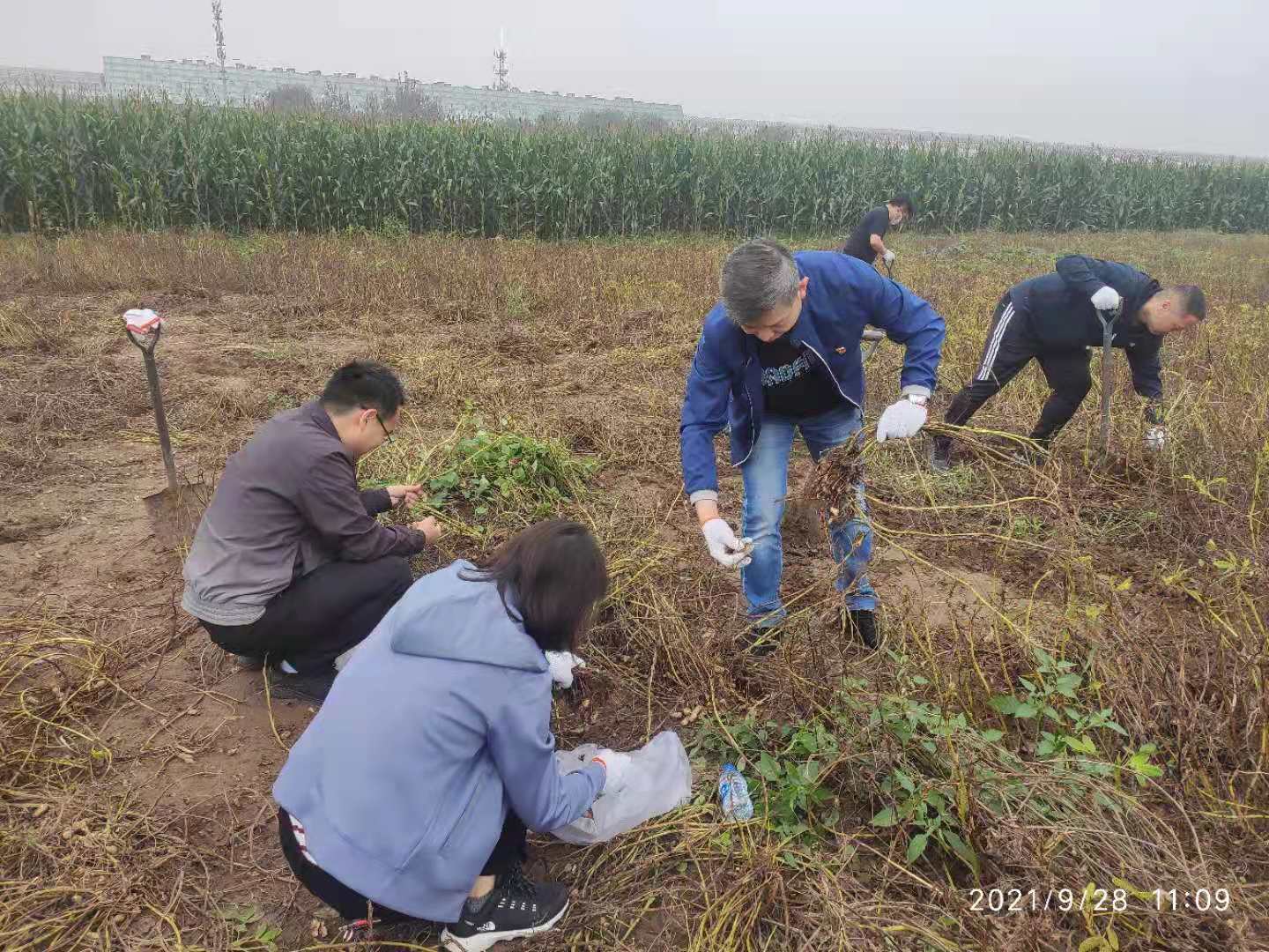 W020211011118769008558 pg国际-不凡成就非凡,相信品牌的力量