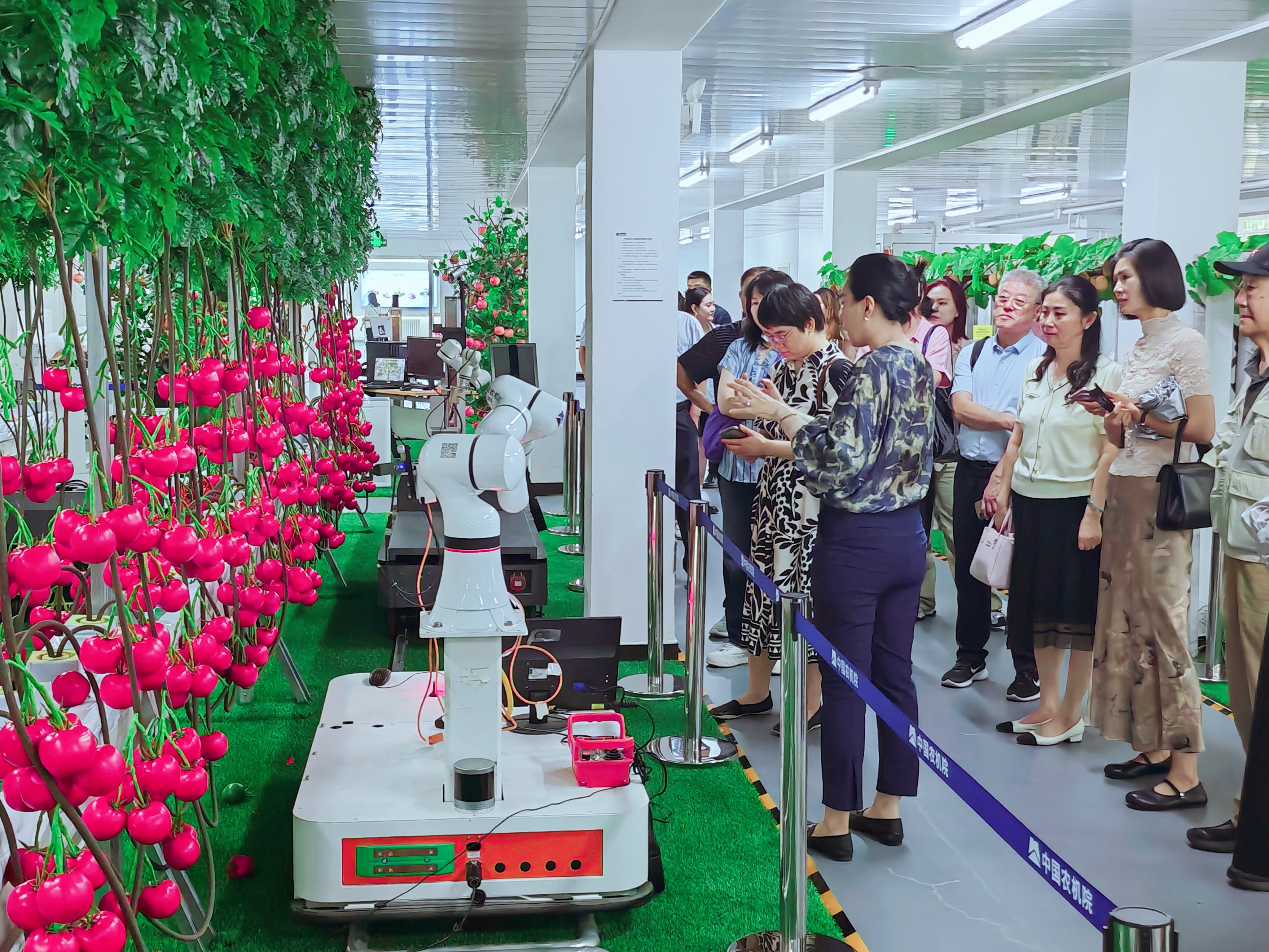 新闻图2.jpg pg国际-不凡成就非凡,相信品牌的力量