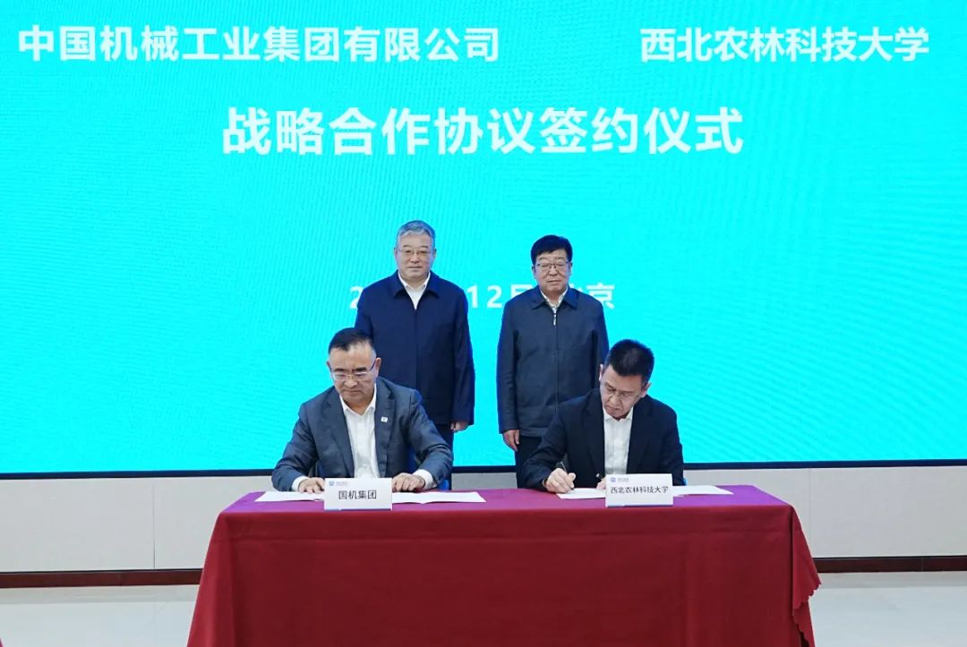pg国际-不凡成就非凡,相信品牌的力量