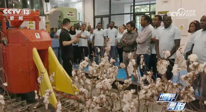 pg国际-不凡成就非凡,相信品牌的力量